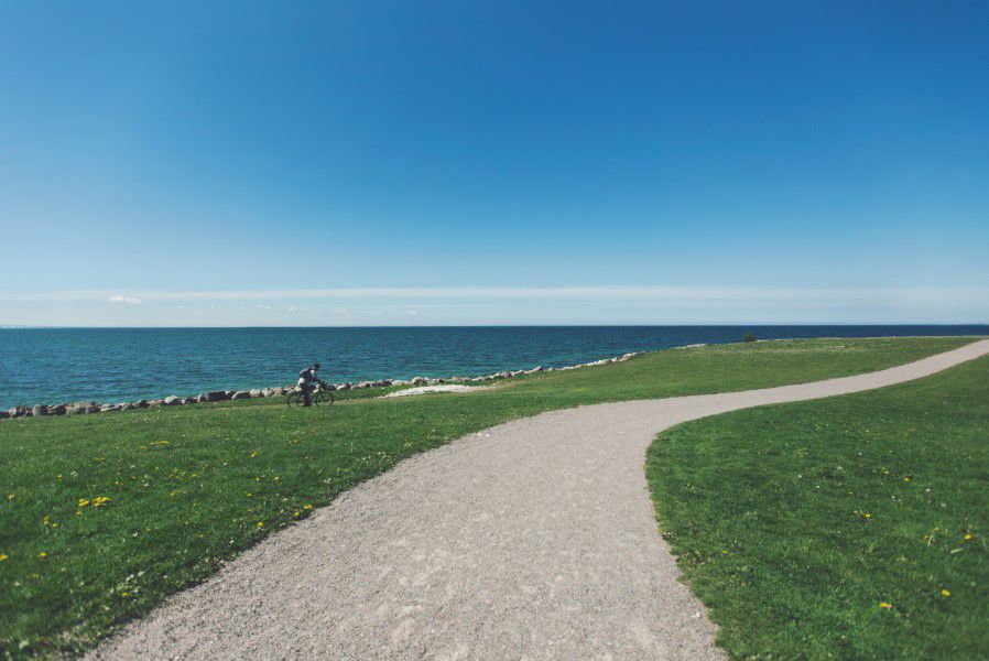 picography-man-cycling-path-sea-ocean-water-green-grass-path-stone-sm-2.jpg